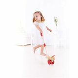 Hape - Push and Pull