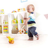 Hape - Push and Pull